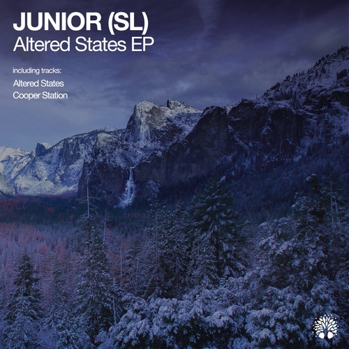 JUNIOR (SL) - Altered States [ETREE433]